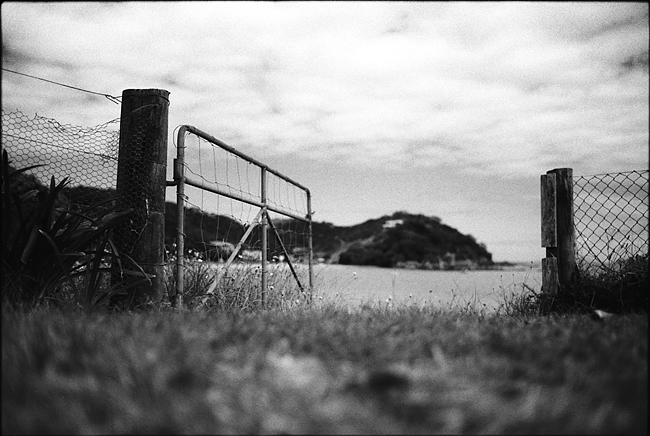 The gate