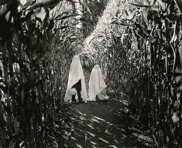 The Ghosts of the Corn Maze