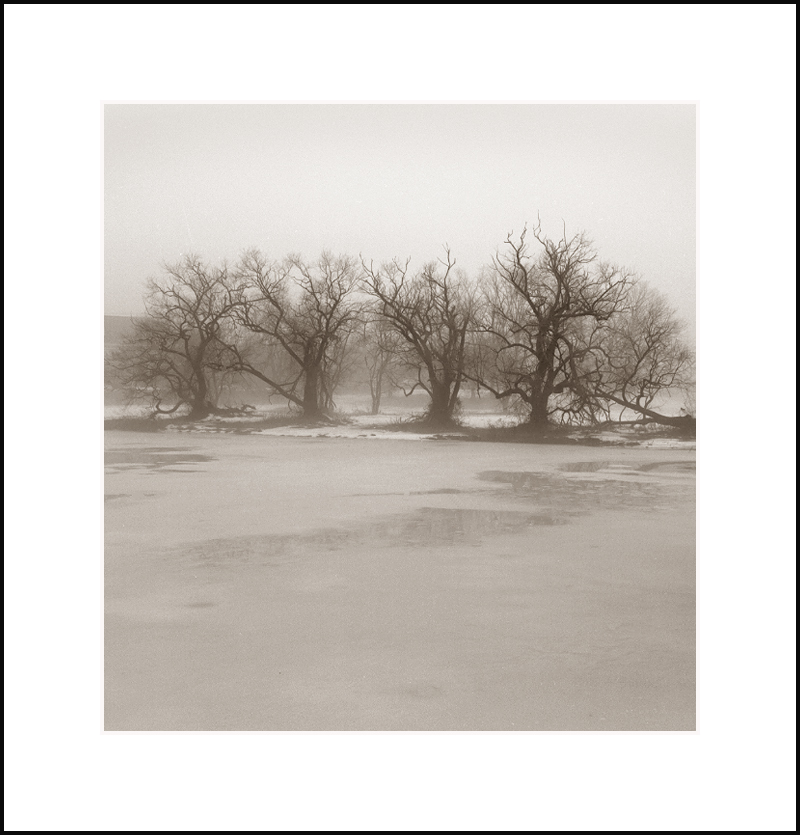 The Goose Pond in Winter