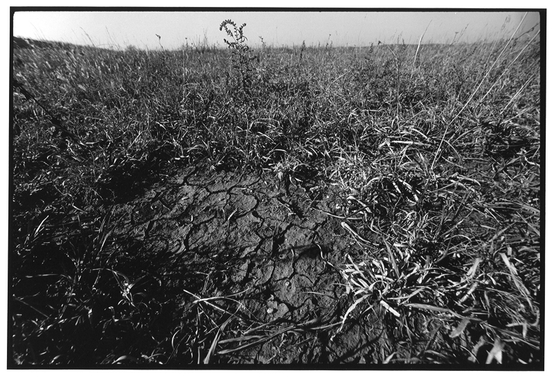 the ground