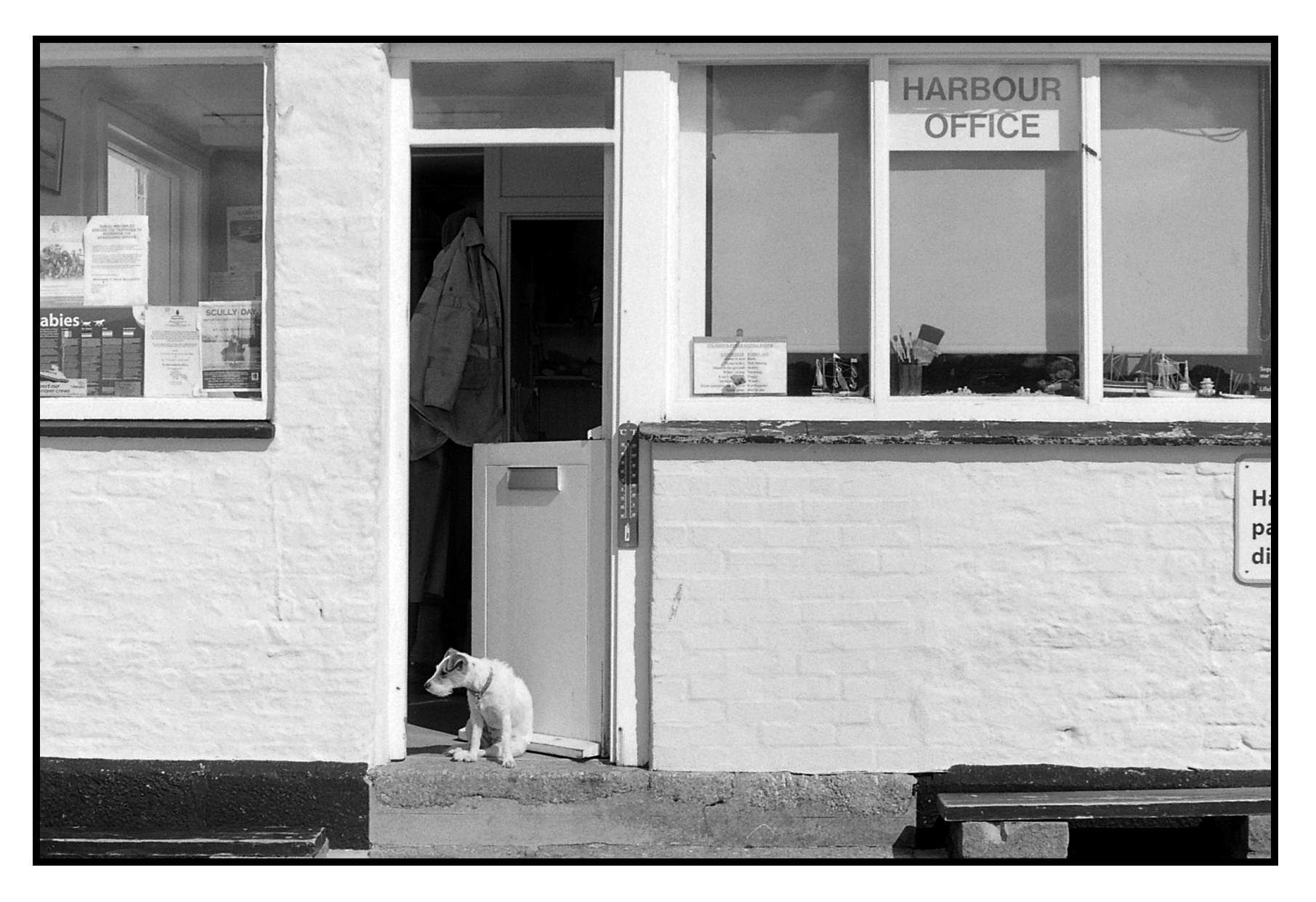 The Harbour Master Will See You Now