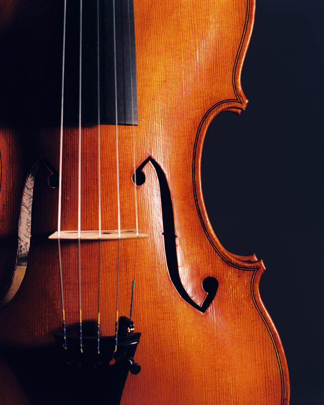 the Hudson 5 string violin