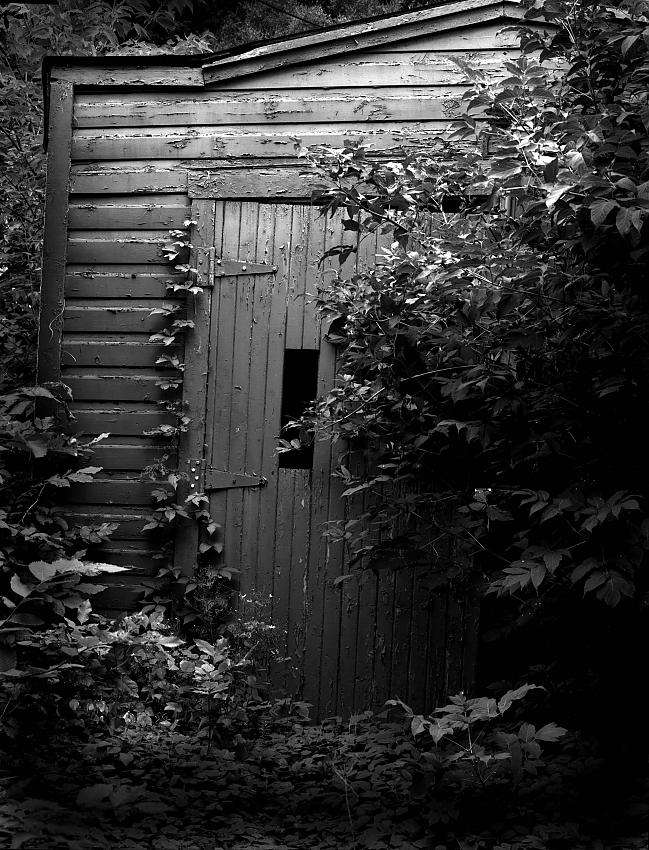 The Laneway