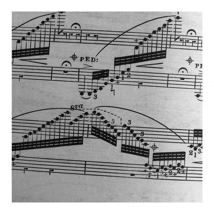 The Language of Music