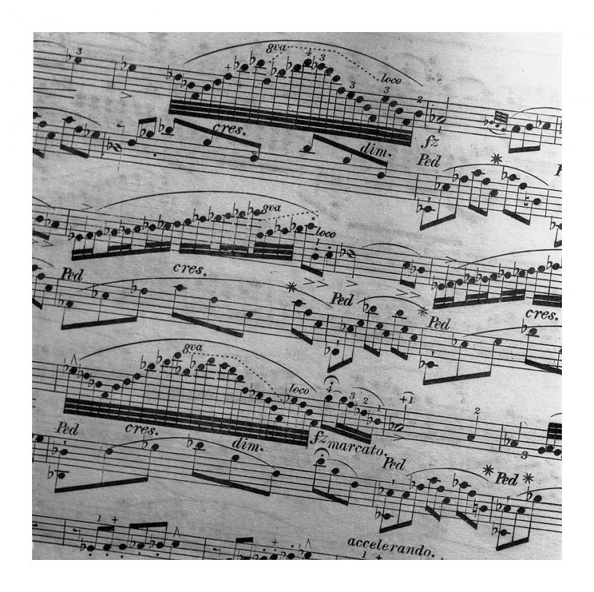 The Language of Music