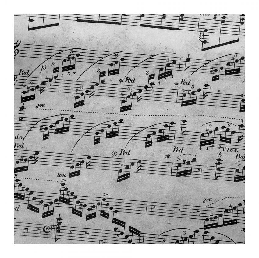 The Language of Music