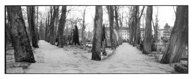 The life has two streets...