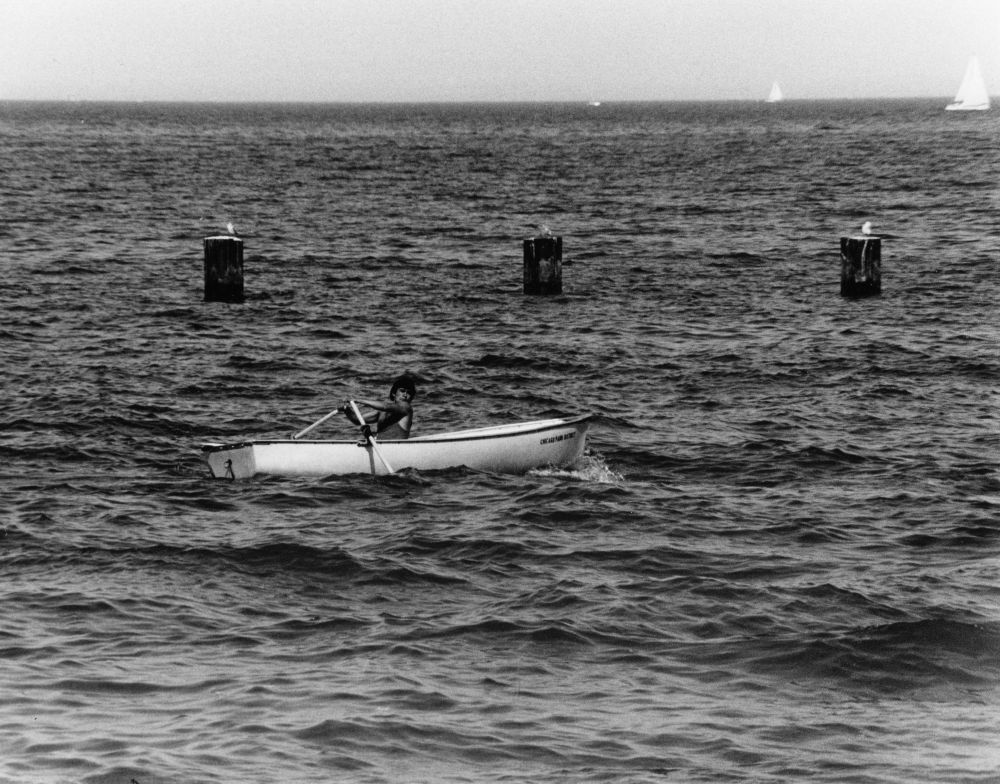 The Lifeguard