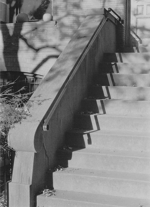 The light and shadows