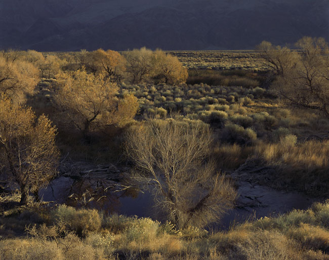 The Lower Owens River, 2007