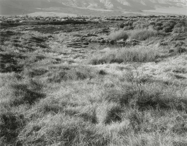 The Lower Owens River Project, November 2007