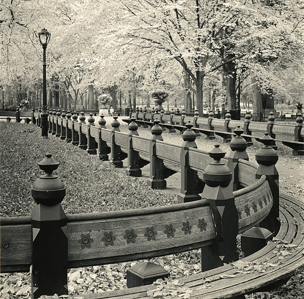 The Mall, Central Park, NYC