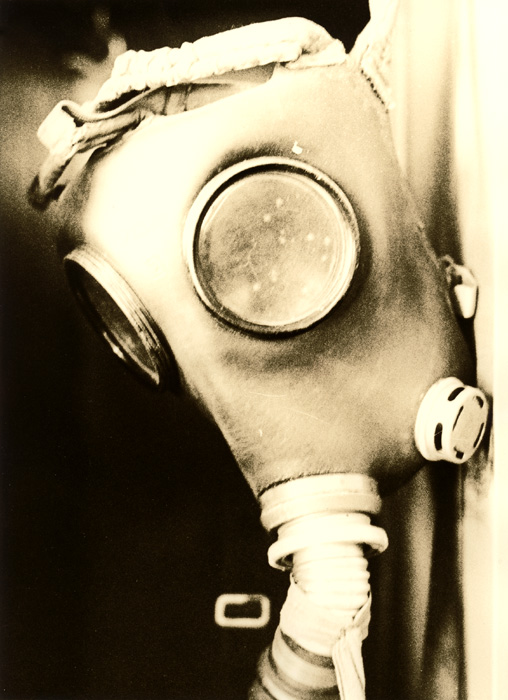 The mask