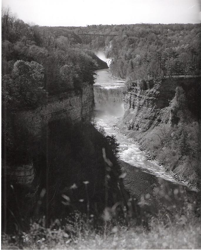 The Mighty Genesee