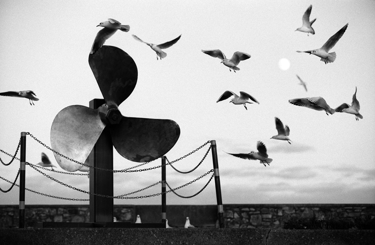 The Moon, turbine and seagulls.