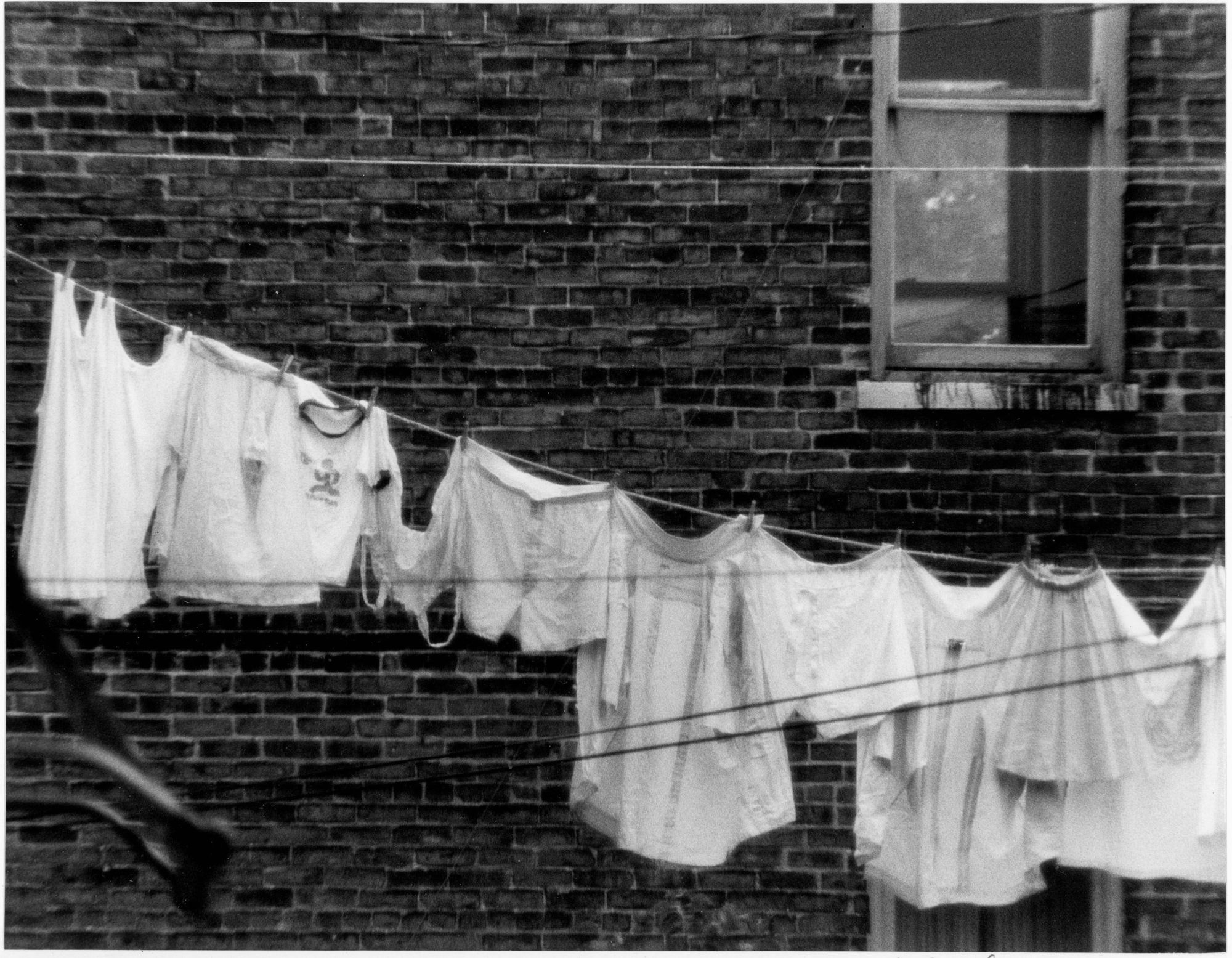The Neighbor's Laundry