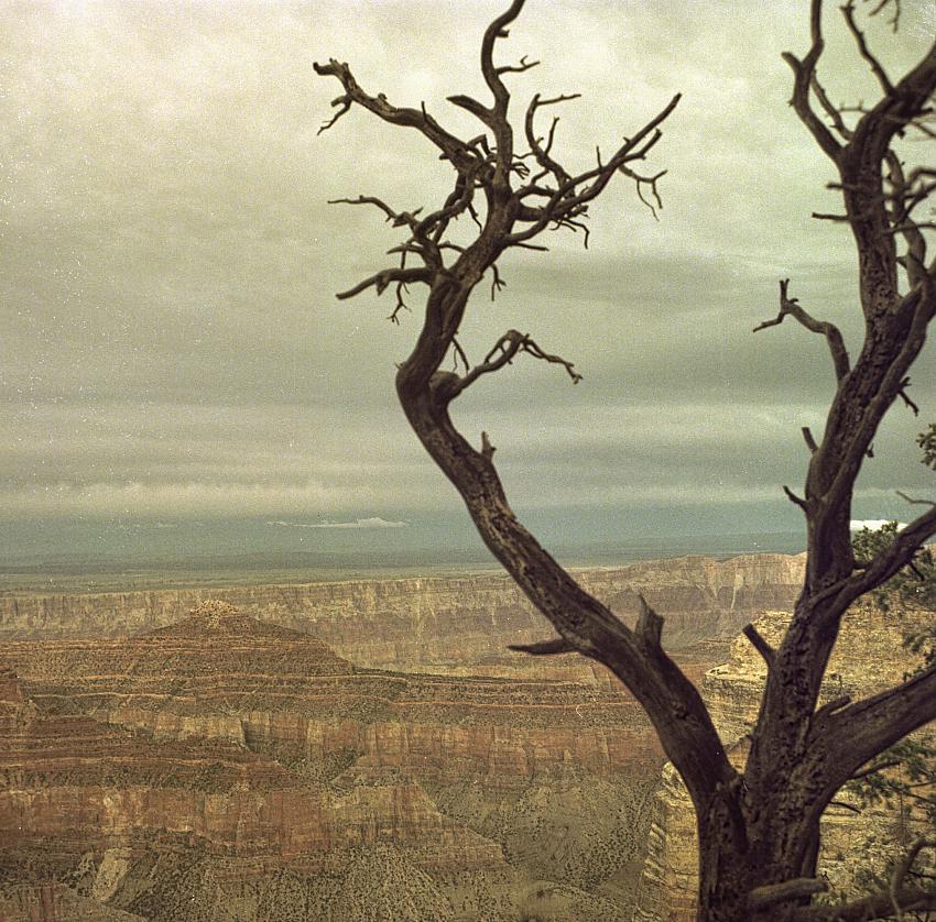 The North Rim