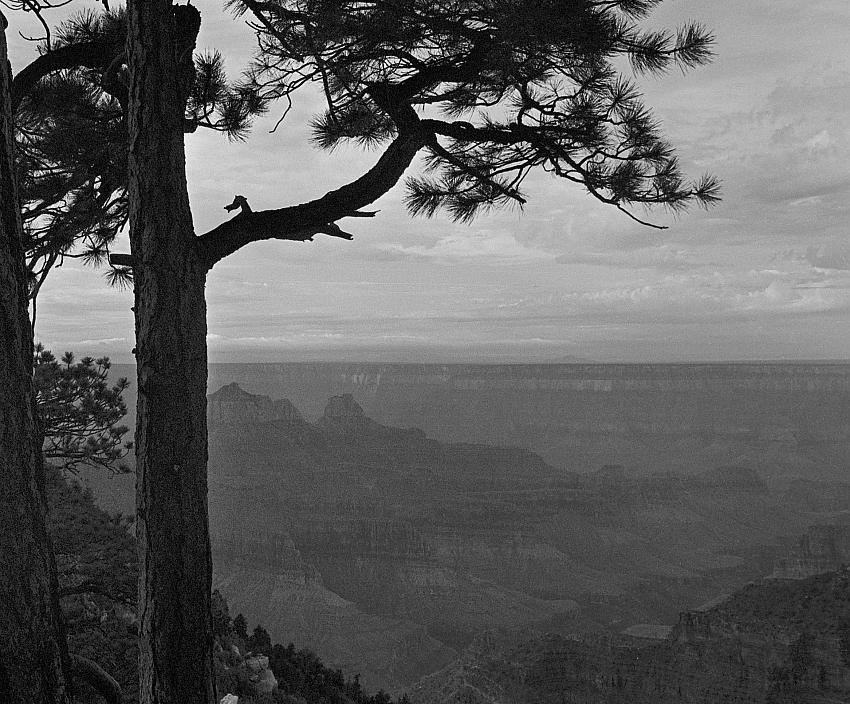 The North Rim