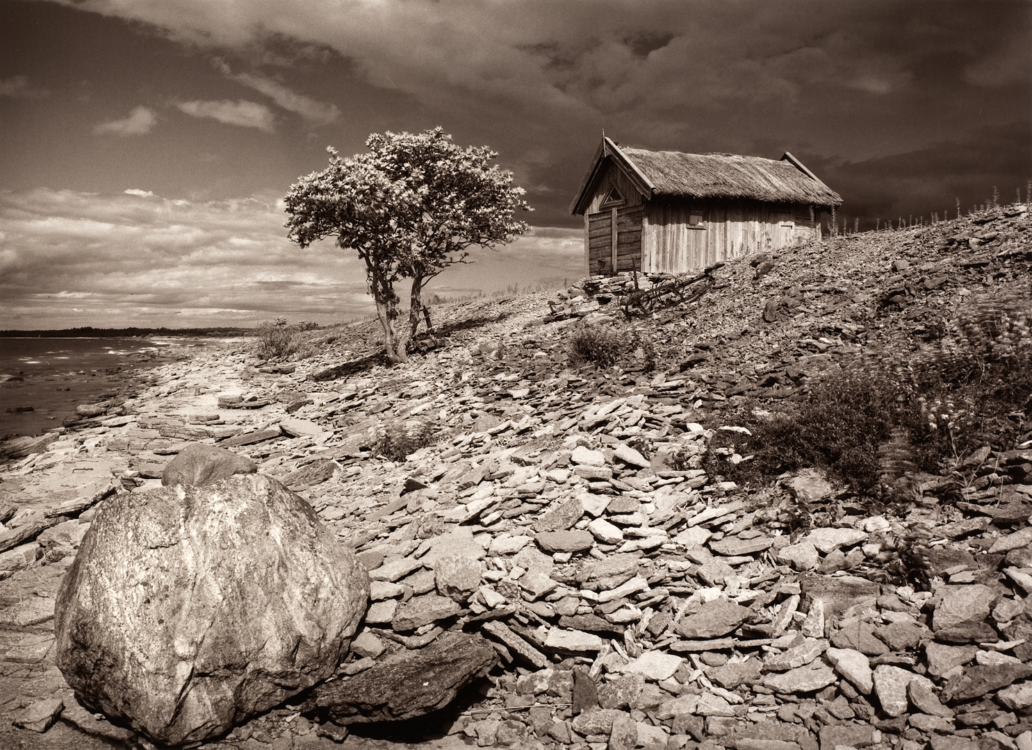 The old boatshed