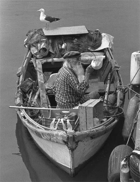 The old man & the sea