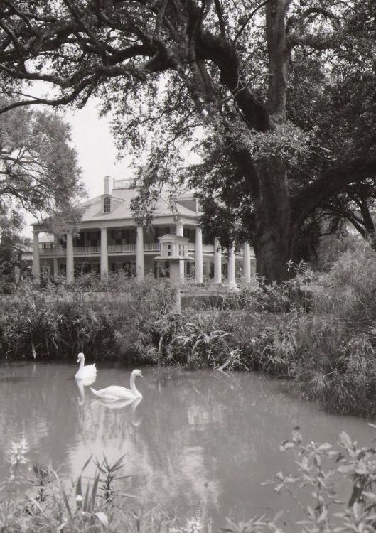 The Old South
