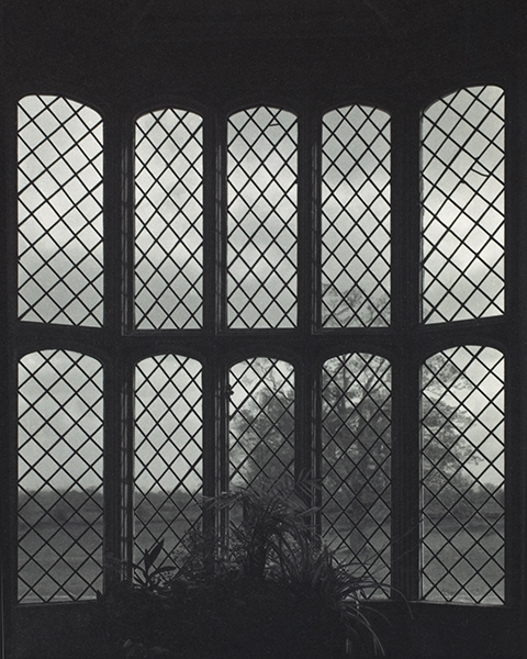 The Oriel Window