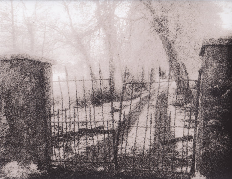 The Path
