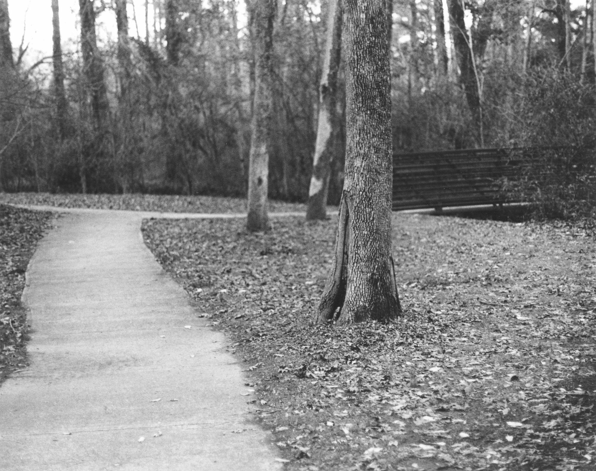 The Pathway-2