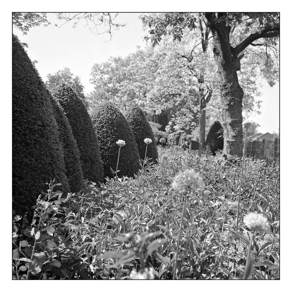 The perfumed garden