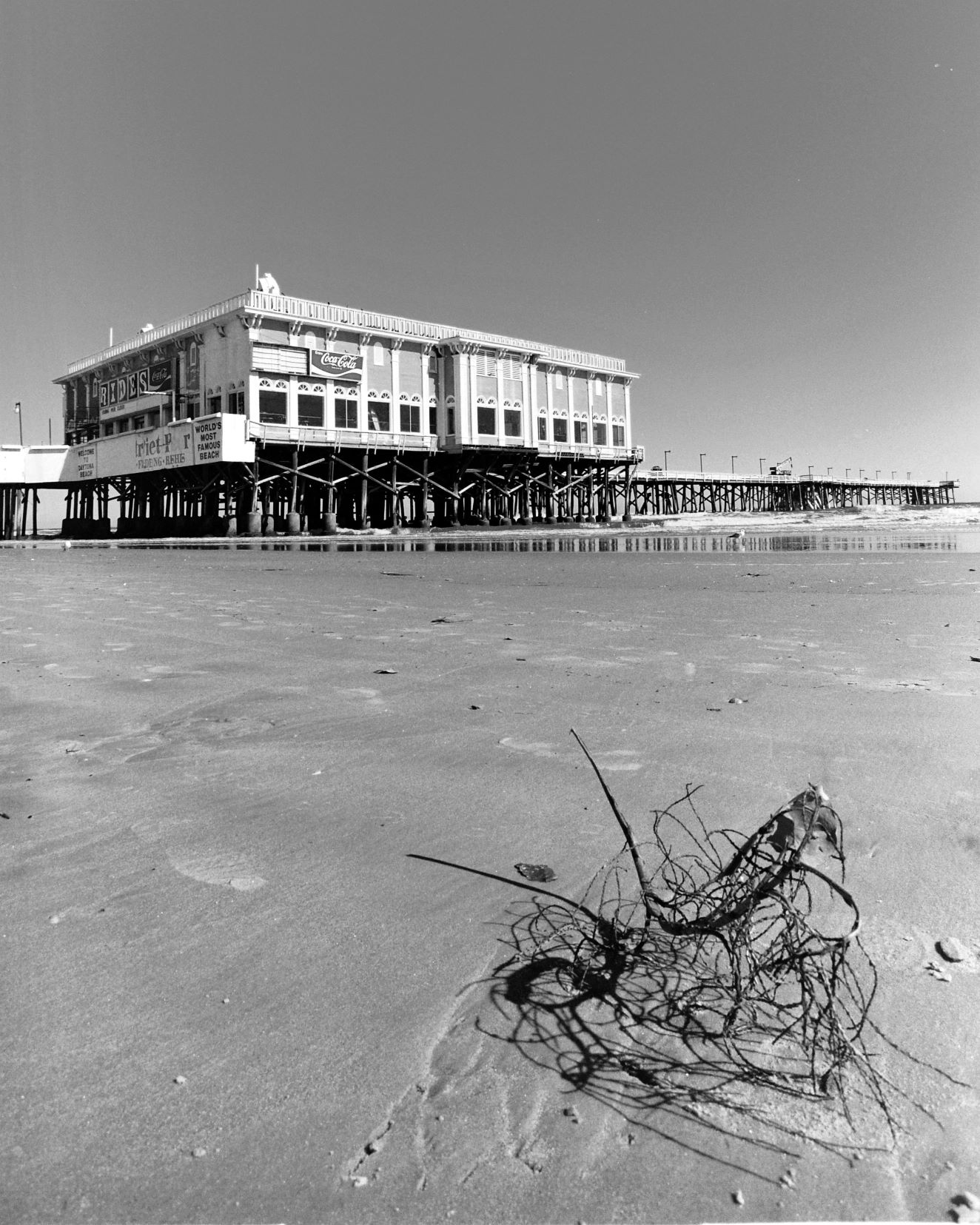 The Pier