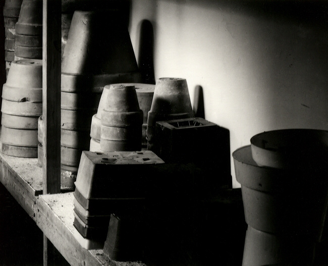The Potting Shed