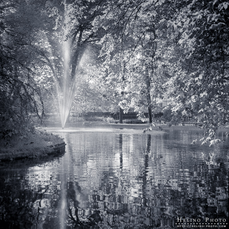 The queen's park fountain