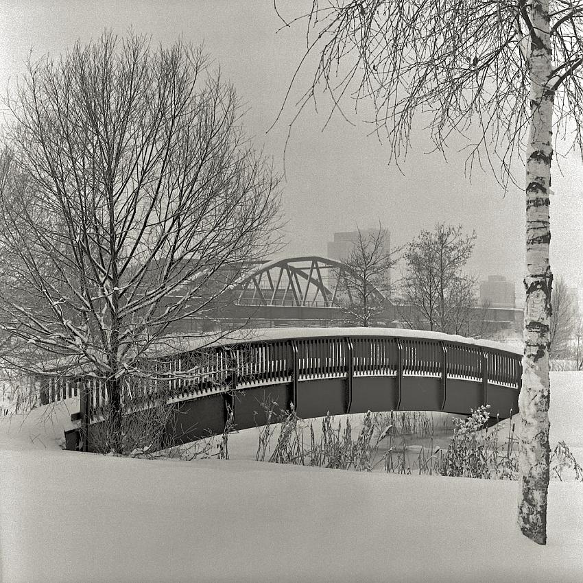 The Railway bridge #3: Two bridges and two trees