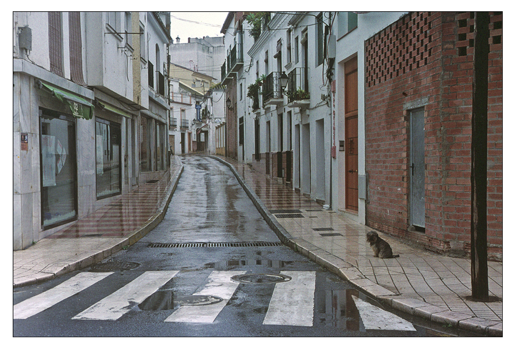 The rain in Spain stays mainly in the plain!