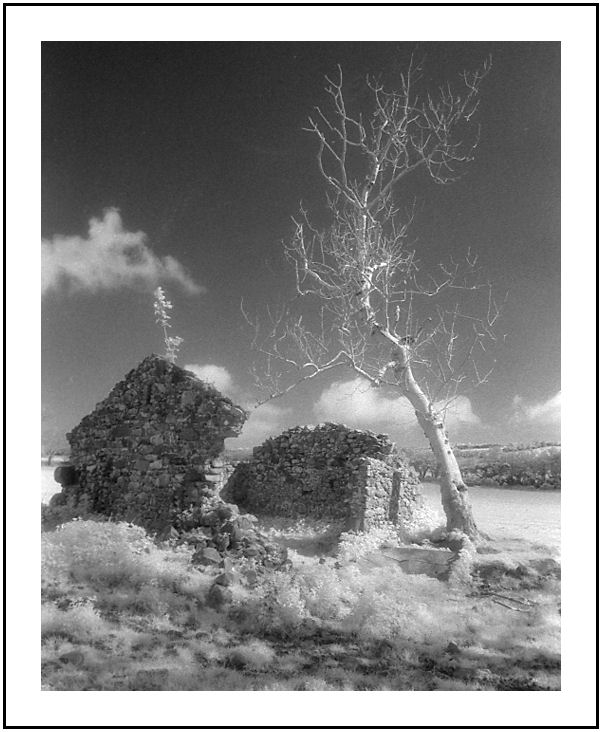 THE REMAINS