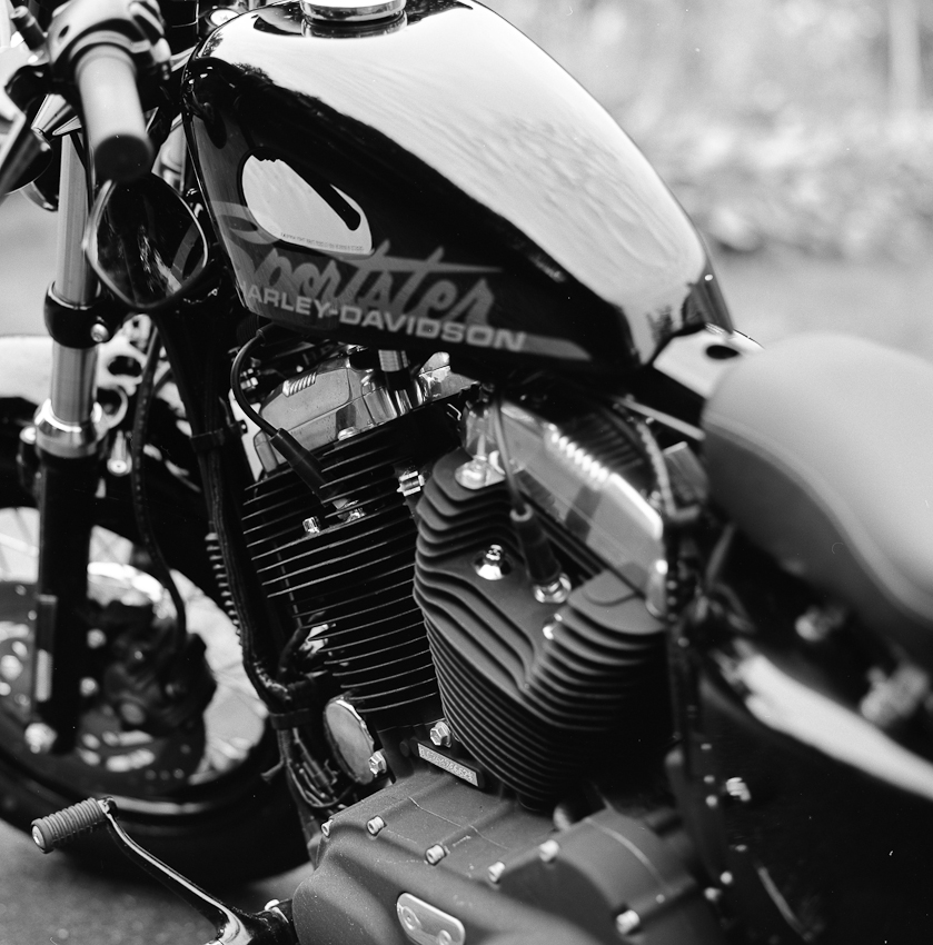 The Ride