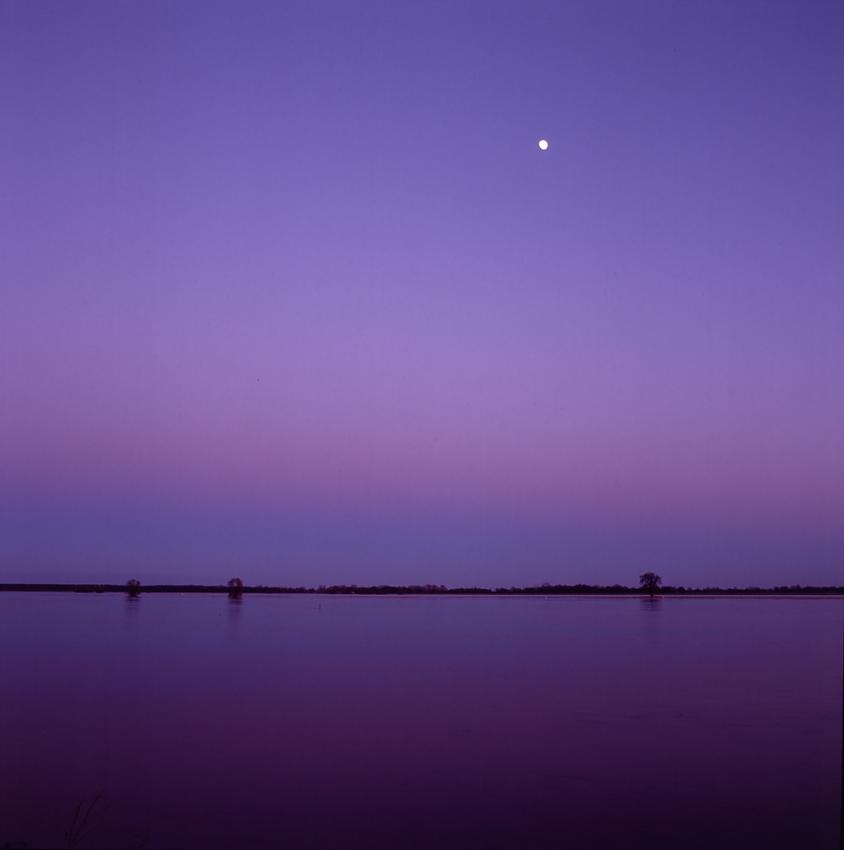 the river elbe at dusk