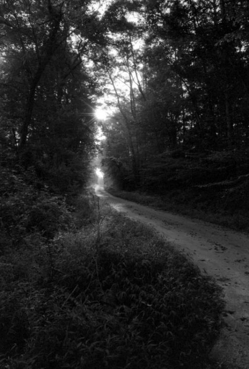 The road awaits...