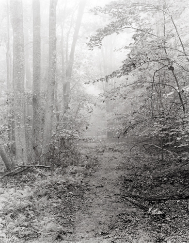 The Road Less Traveled