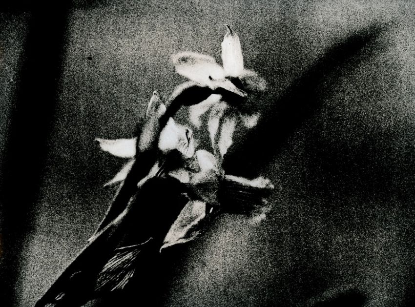 The same in lith II