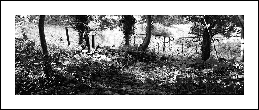 The Secret Garden