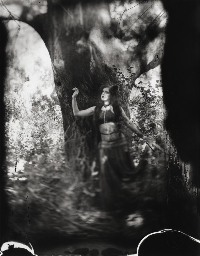 The Shaman