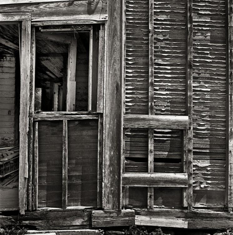 The Side Door