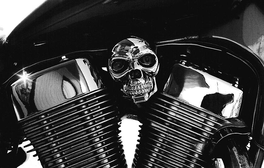The Skull