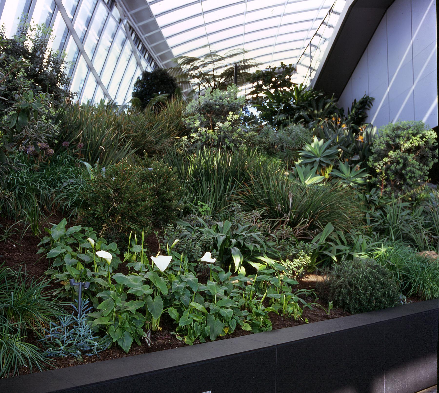 The 'Sky Garden' London