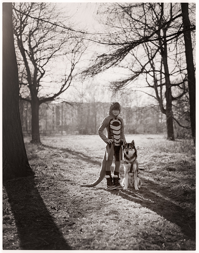 The Snake and the Dog