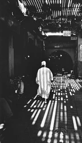 The Soaks In Shadow