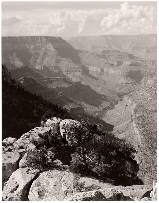 The South Rim