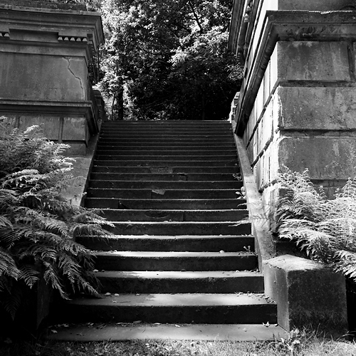The stairs up