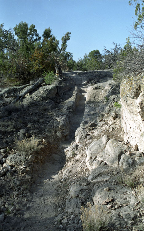 The Steps